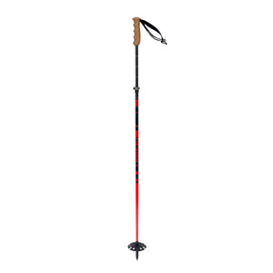 Freeride Poles