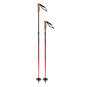 Freeride Poles